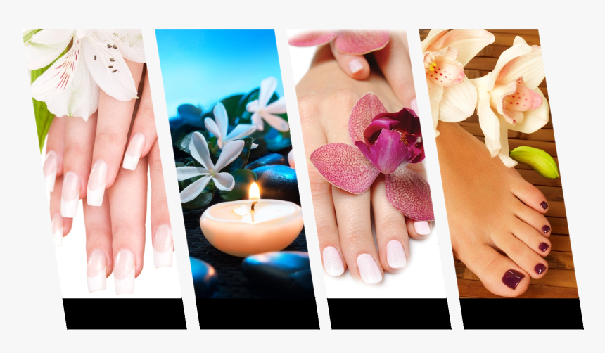 Image24 - Beautiful Nails, HD Png Download