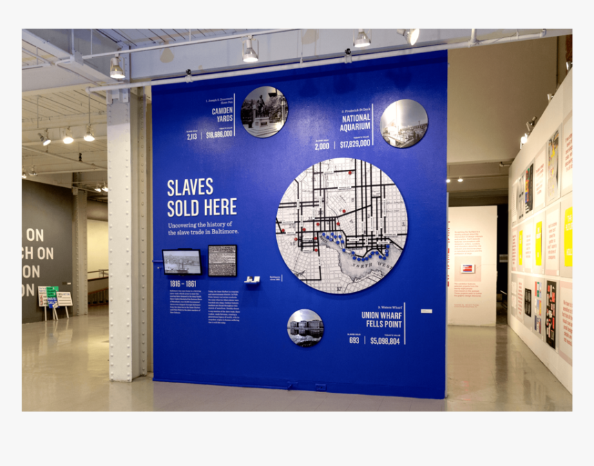 Baverp Thesis 01 - Banner, HD Png Download