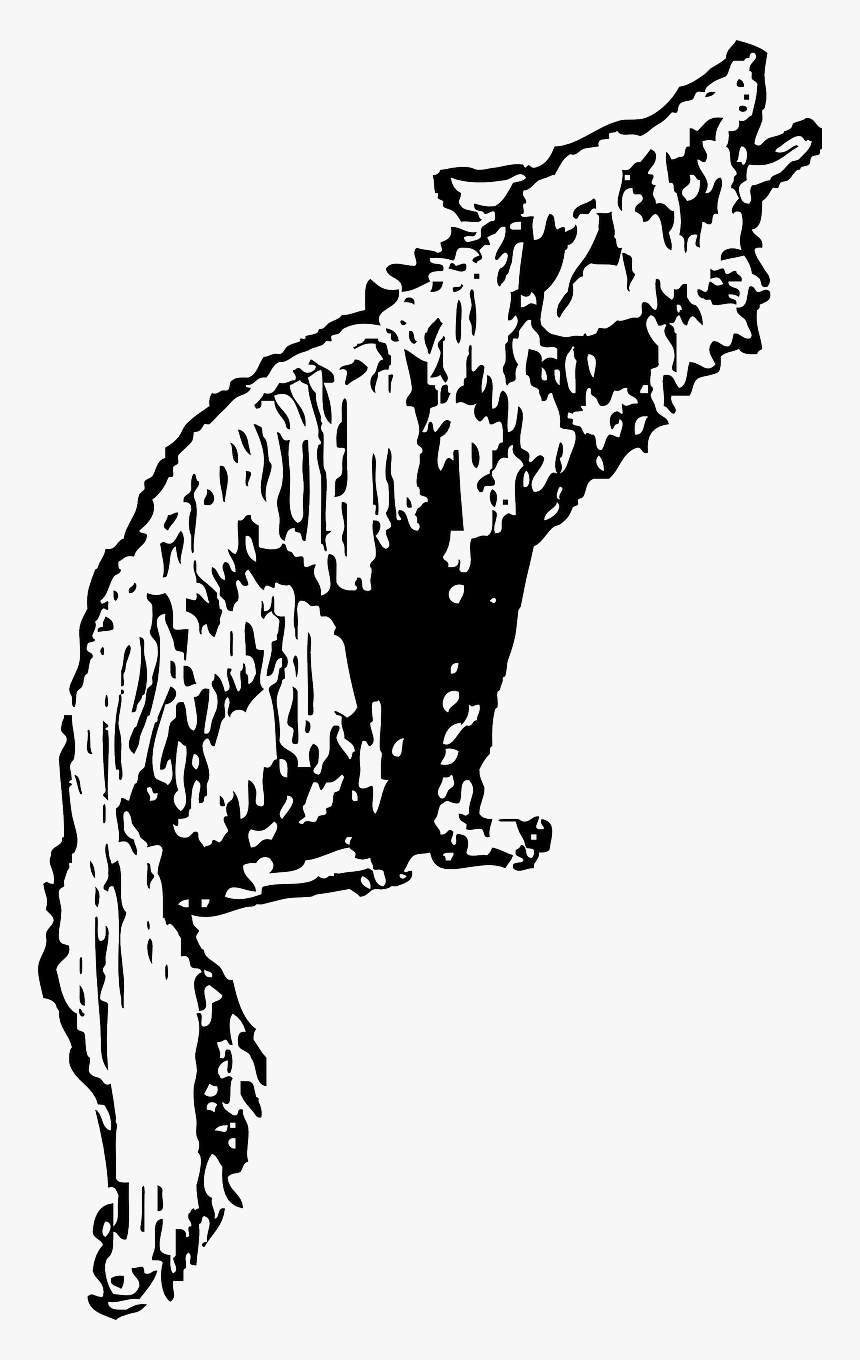 Coyote Clip Art, HD Png Download