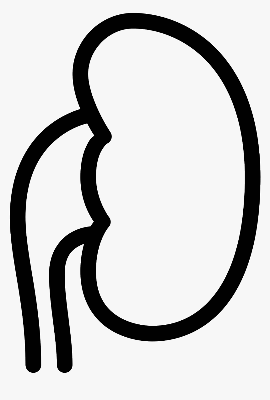 Icon Free Download Png - White Kidney Png Icon, Transparent Png