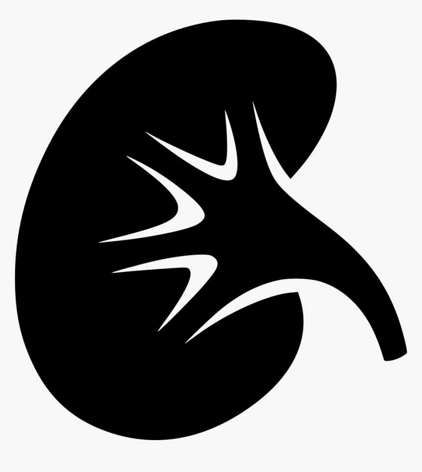 Kidney - Kidney Icon, HD Png Download