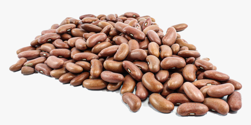 Kidney Beans, HD Png Download