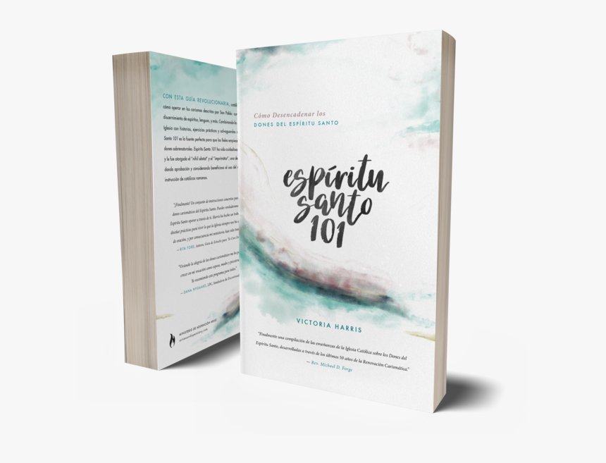 Front Back Basic - Espiritu Santo 101, HD Png Download