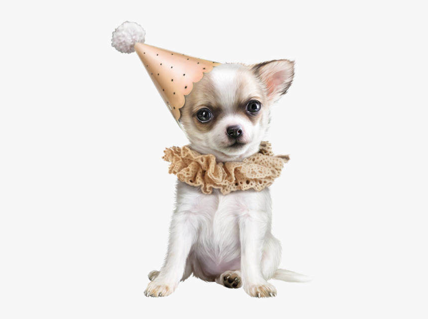 Chihuahua Png, Transparent Png