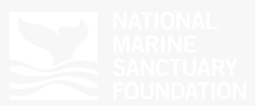 Johns Hopkins Logo White, HD Png Download