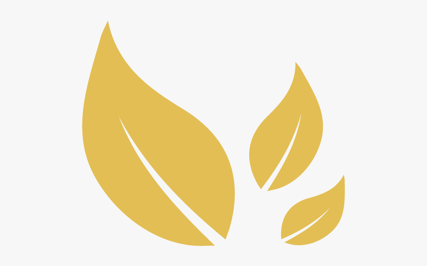 Leaves4 - Graphic Design, HD Png Download