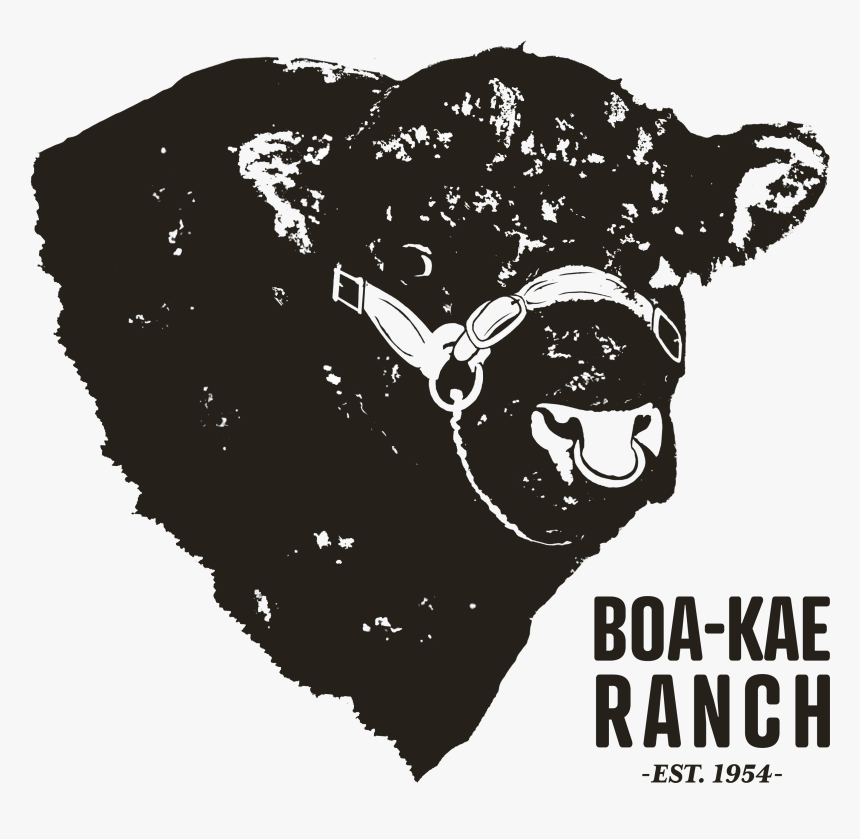 Boa-kae Ranch - Illustration, HD Png Download