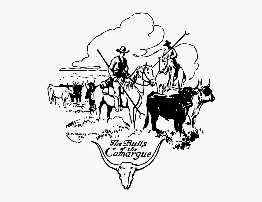 Bulls Of Camargue Png Clip Arts - Cattle Drive Clipart, Transparent Png