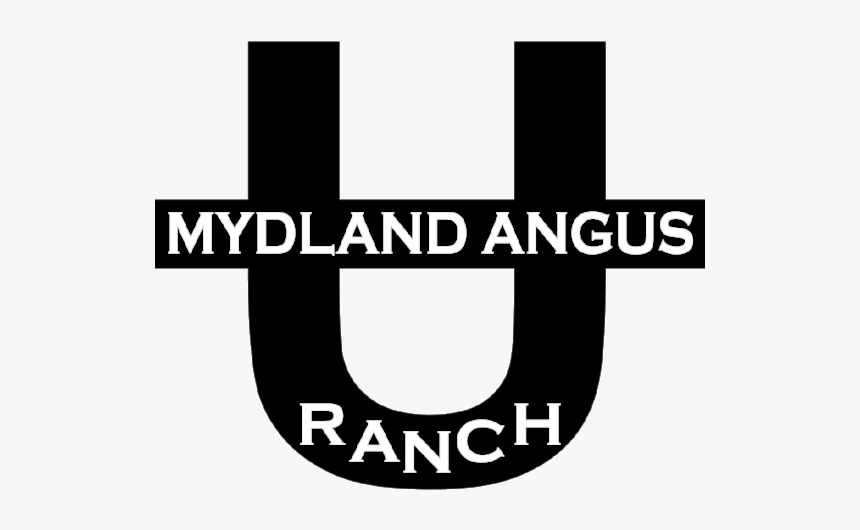 Mydlandtrans - Graphic Design, HD Png Download