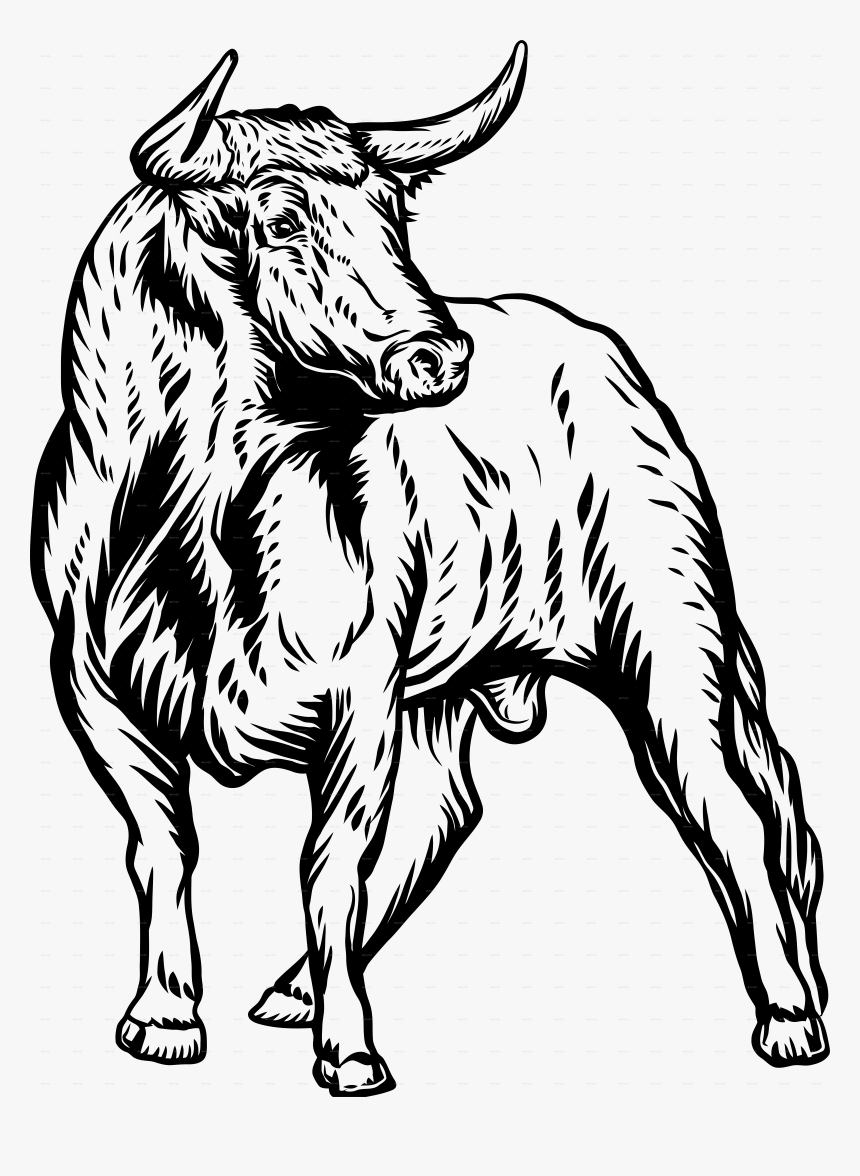 Bulls Png, Transparent Png