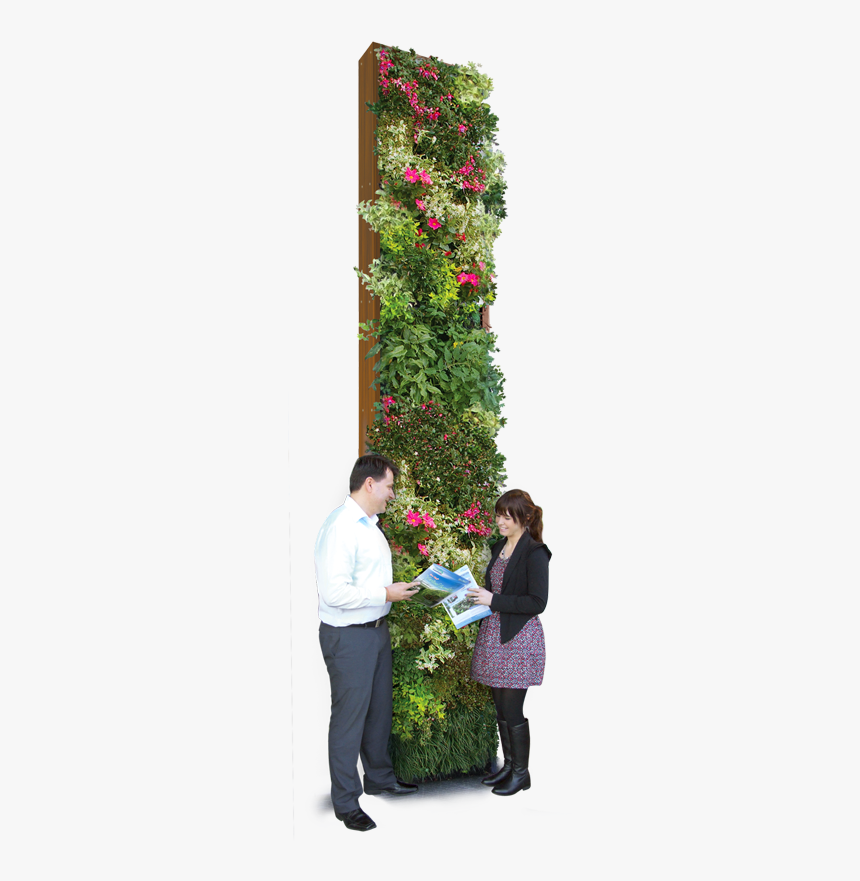 Vertical Garden Png - Green Wall, Transparent Png