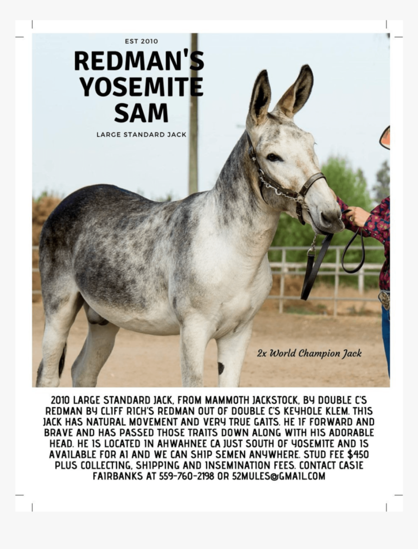 Newsletter Oct2018 05-min, HD Png Download