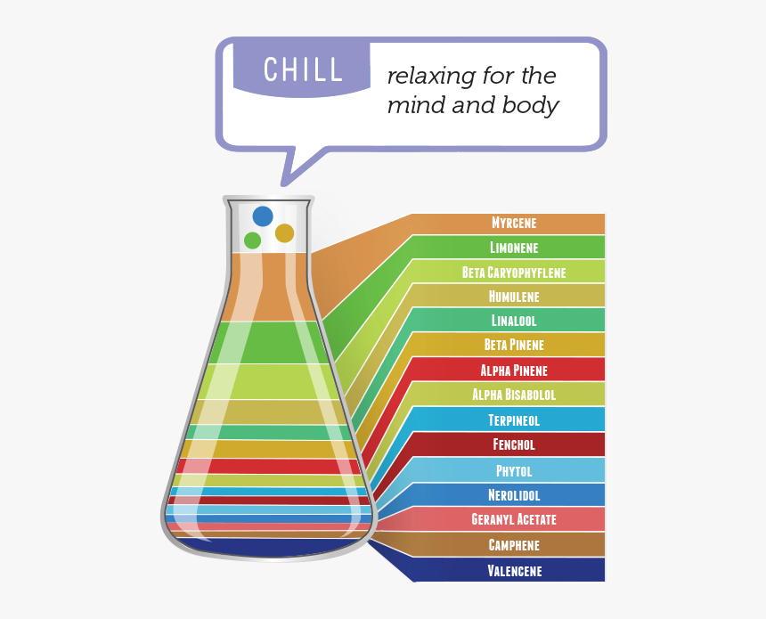 Diagram, HD Png Download