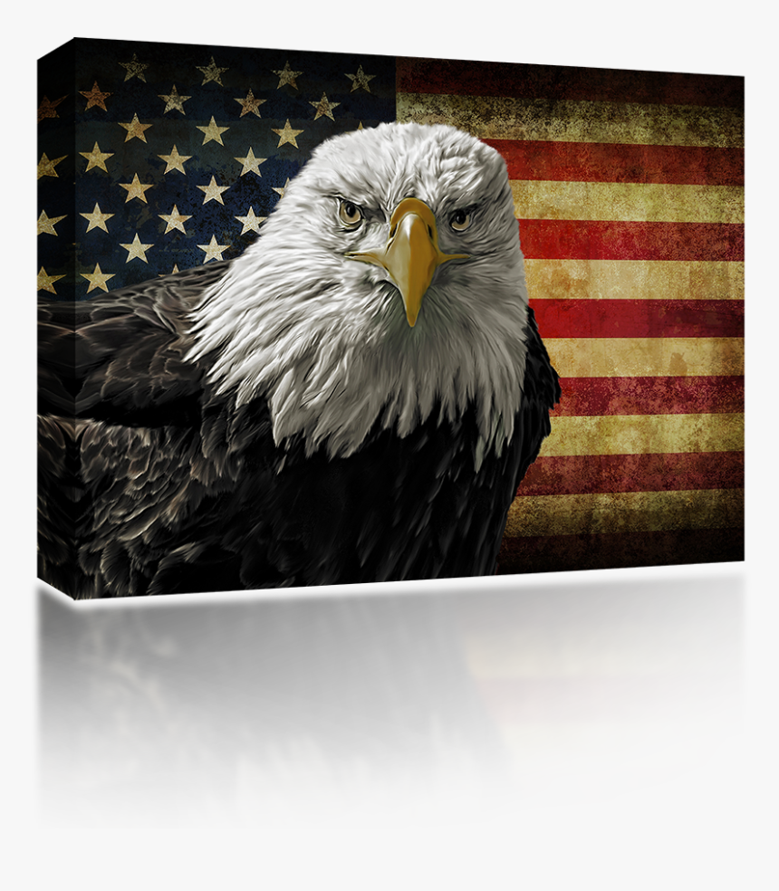 Veterans Day Eagle American Flag, HD Png Download