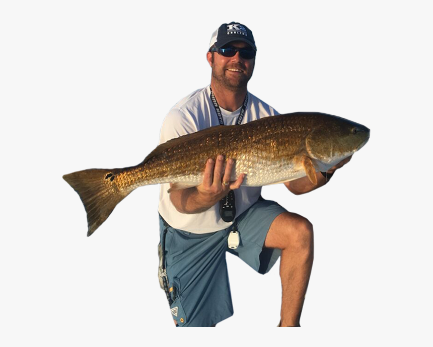 Trout, HD Png Download