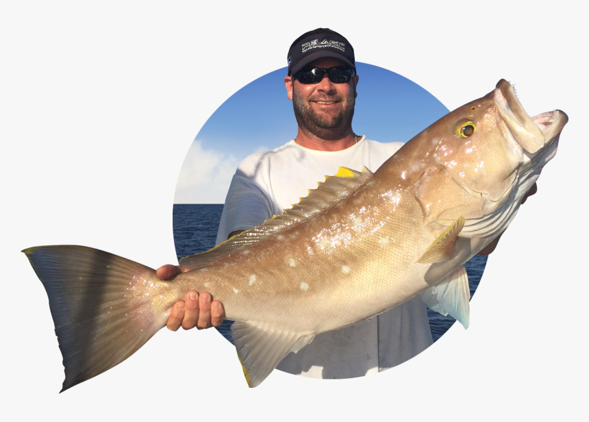 Carp, HD Png Download