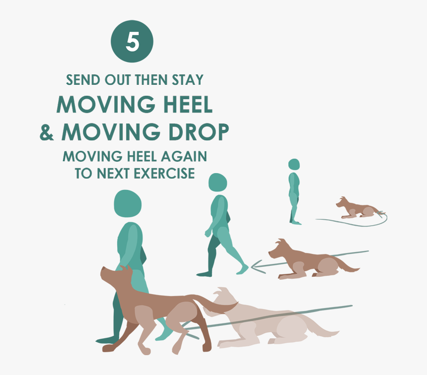 Dog, HD Png Download