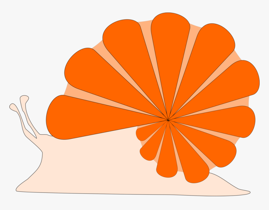 Plant,flower,leaf, HD Png Download