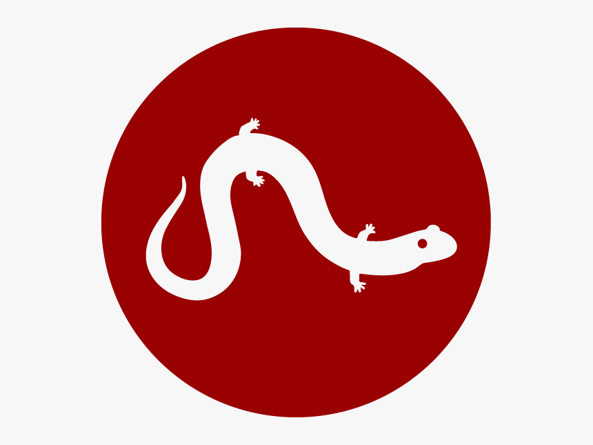 Alabama Museum Of Natural History, HD Png Download