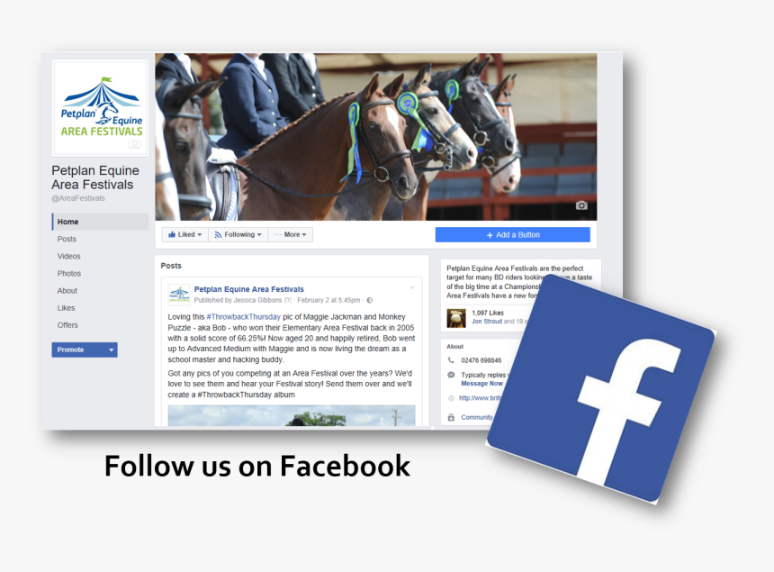 Petplan Equine Area Festivals Are The Perfect Target - Stallion, HD Png Download