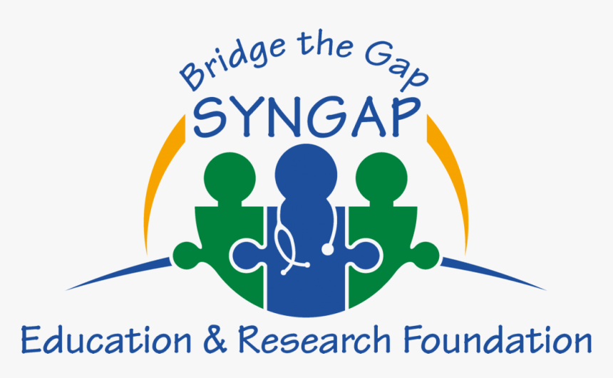 Bridge The Gap Syngap, HD Png Download