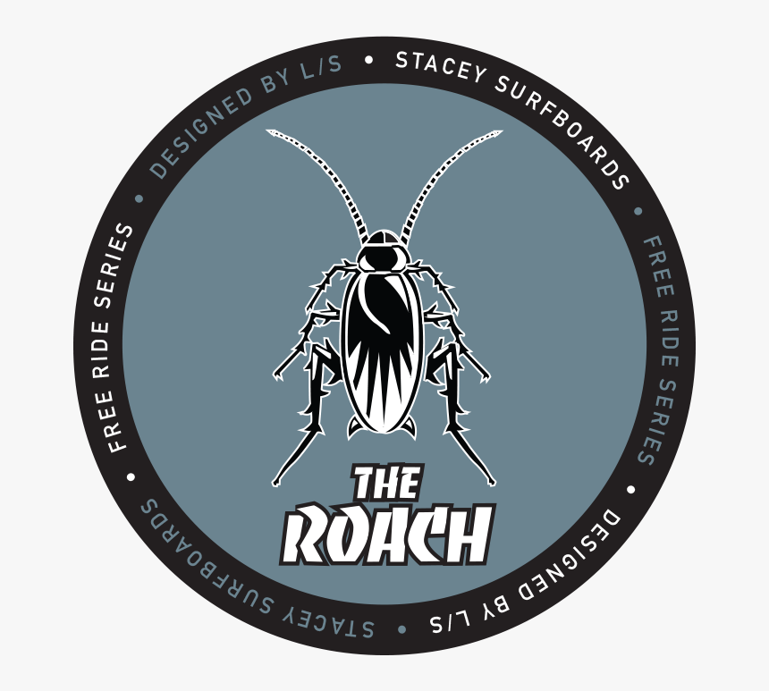 Stacey Surfboards - The Roach - Leaf Beetle, HD Png Download
