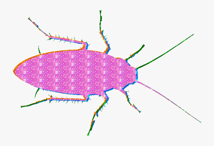 #roach #glitter #mine #lol #glitterroach #edgy #glitteredit - Ground Beetle, HD Png Download