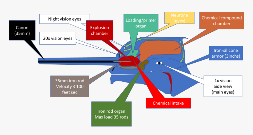 Diagram, HD Png Download