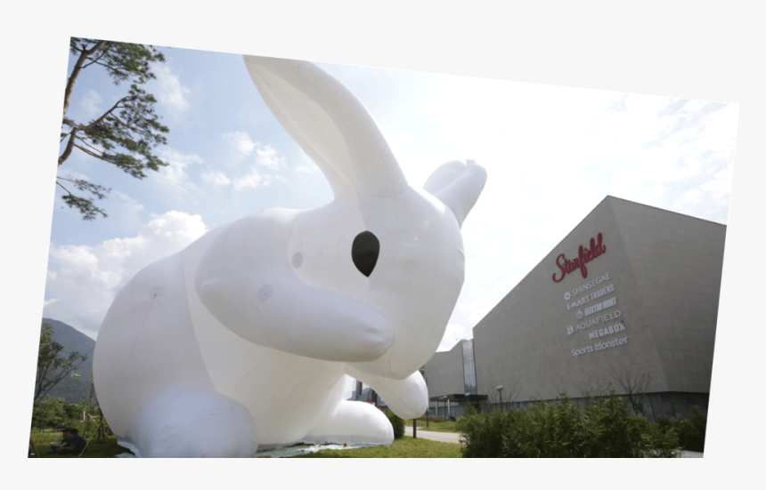 Starfield Hanam Shopping Theme Park Rabbit - Domestic Rabbit, HD Png Download