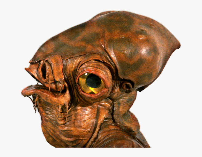 Star Wars Species, HD Png Download