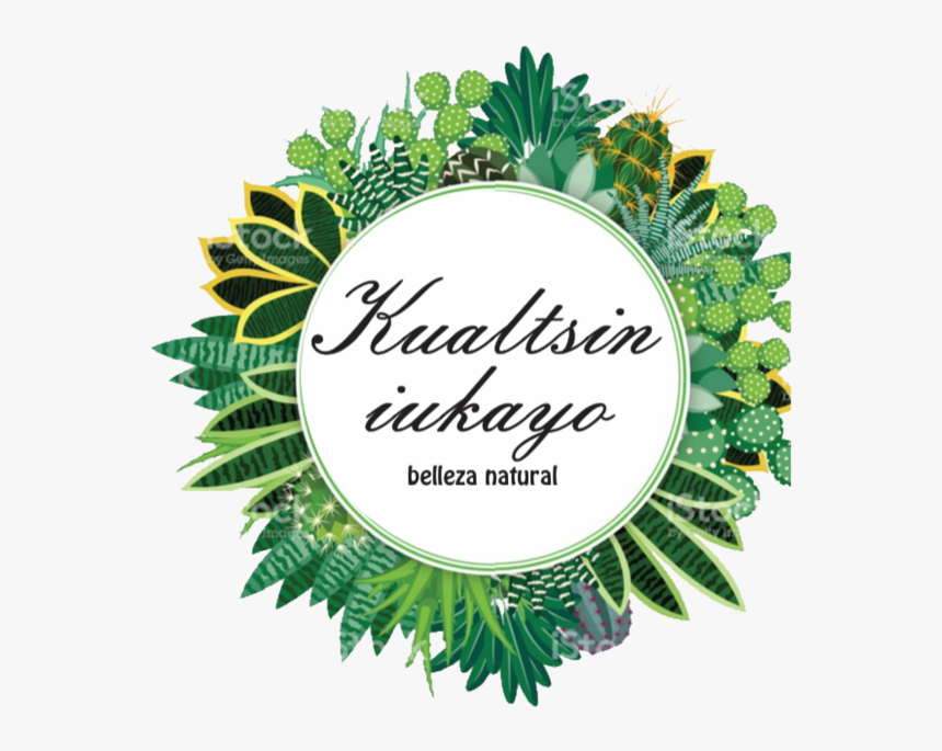 Cactus Background Round, HD Png Download