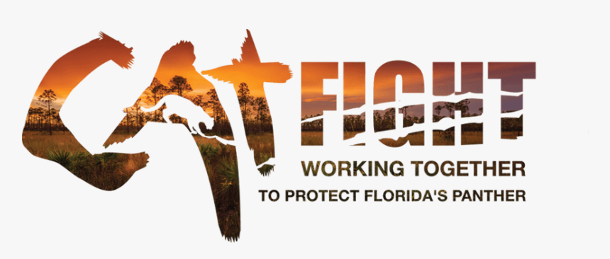 Calligraphy, HD Png Download