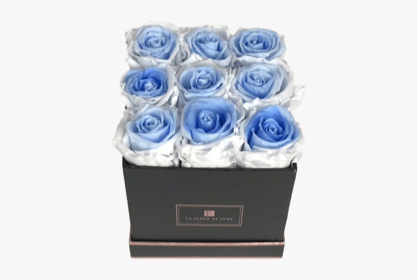Blue Rose, HD Png Download