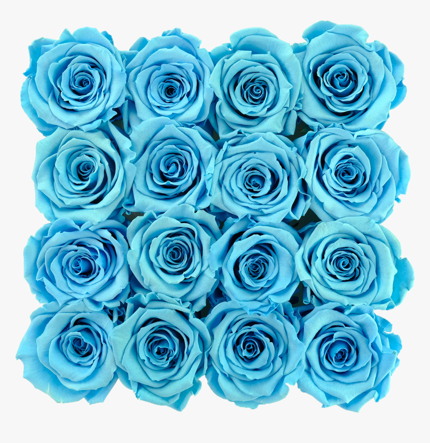 Blue Preserved Roses - Floribunda, HD Png Download