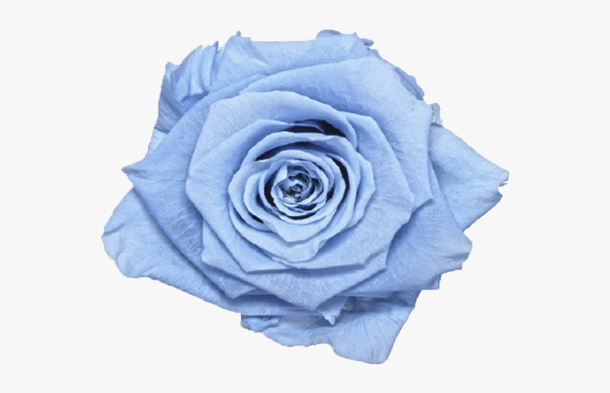 Single Rose Marble Box 
 Class Lazyload Lazyload Fade - Blue Rose, HD Png Download