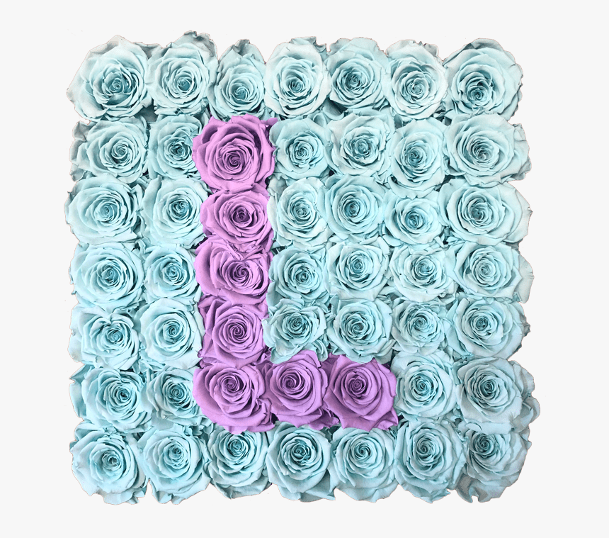 Garden Roses, HD Png Download