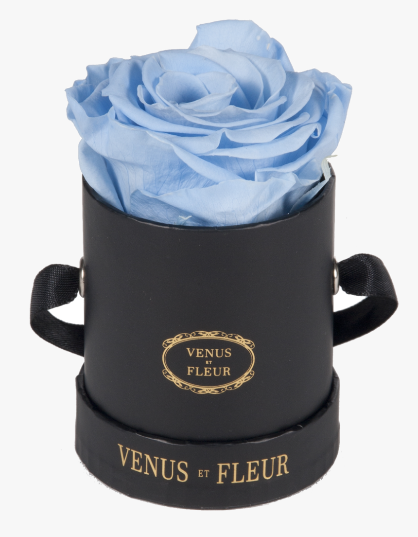 Blue Roses Png, Transparent Png