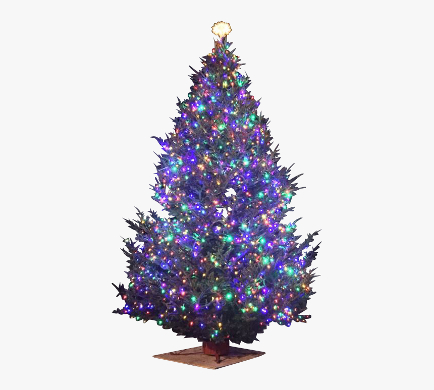 Christmas Tree Star Png Transparent Png Transparent Png Image Pngitem