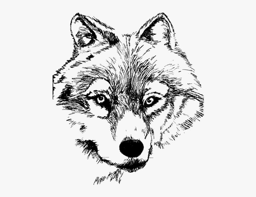Alaskan Klee Kai, HD Png Download