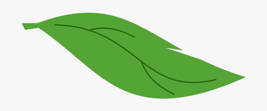 Plant Leaf Clip Art, HD Png Download