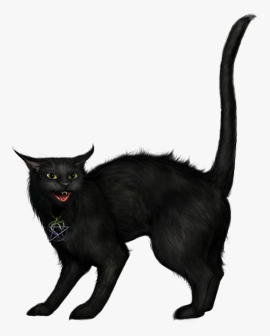 #ftestickers #halloween #cat #blackcat #creepy - Black Cat Witch Png, Transparent Png
