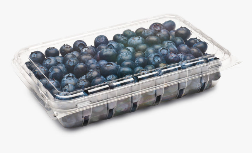 Blueberry Containers, HD Png Download