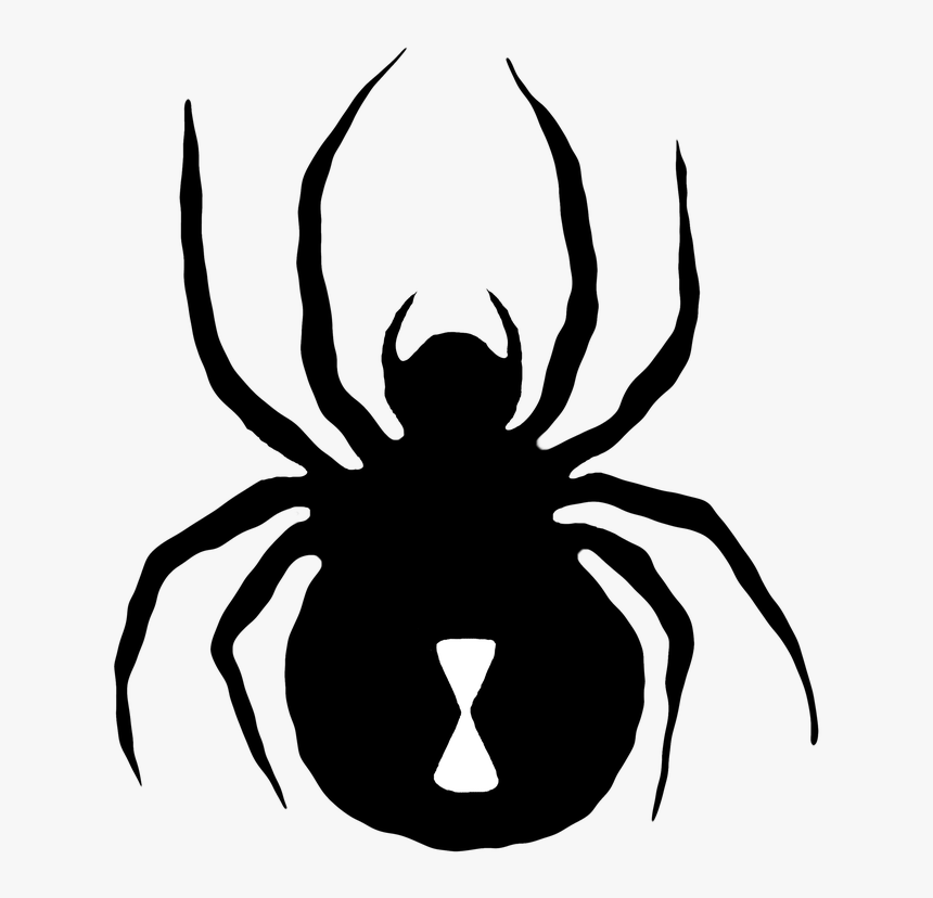 Transparent Cute Spider Clipart - Insect, HD Png Download