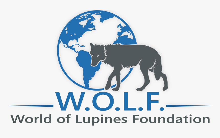 World Of Lupines Foundation - Blue World Map Watercolor Painting, HD Png Download