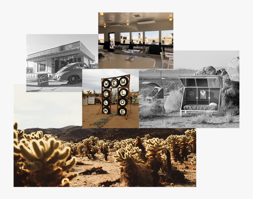 Desert Southwest Joshua Tree Header - House, HD Png Download