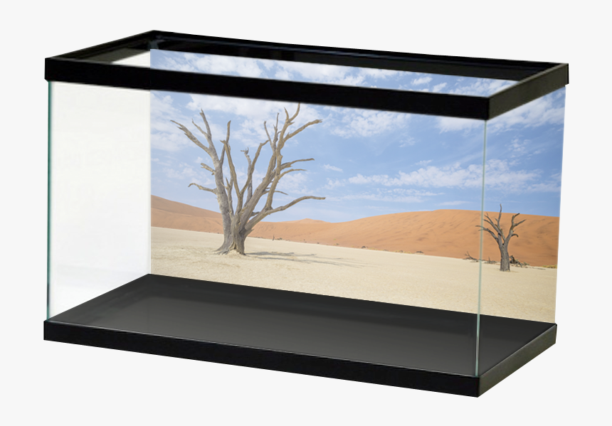 Reptile Treedesert - Underwater Cave Aquarium Background Hd, HD Png Download