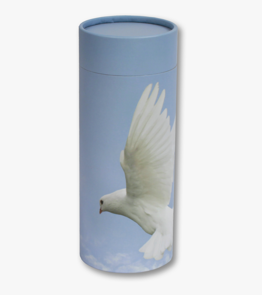 Ascending Dove - Gull, HD Png Download