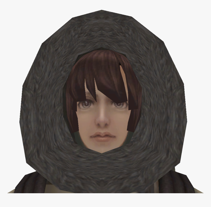 Lace Wig, HD Png Download