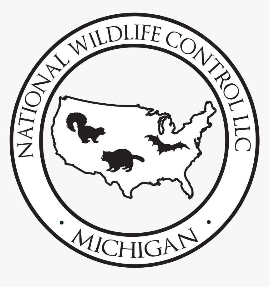 Cia Clandestine Operations Logo , Png Download, Transparent Png