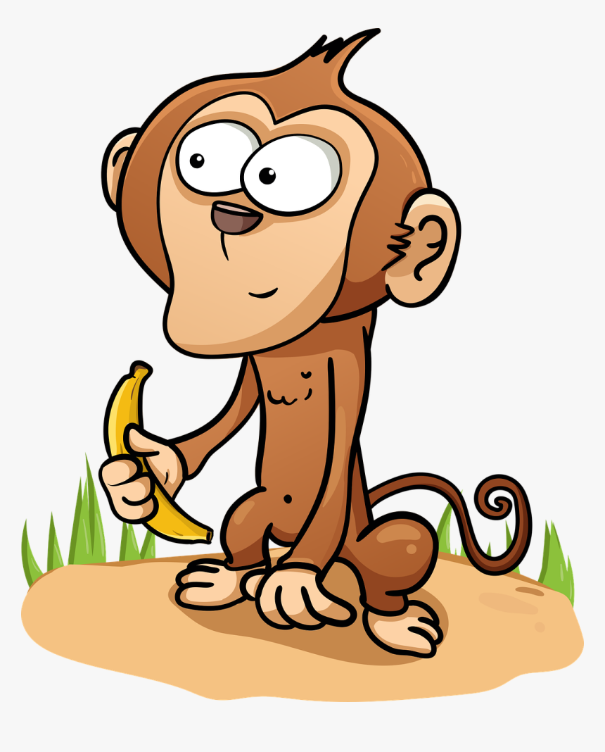 Monkey, HD Png Download
